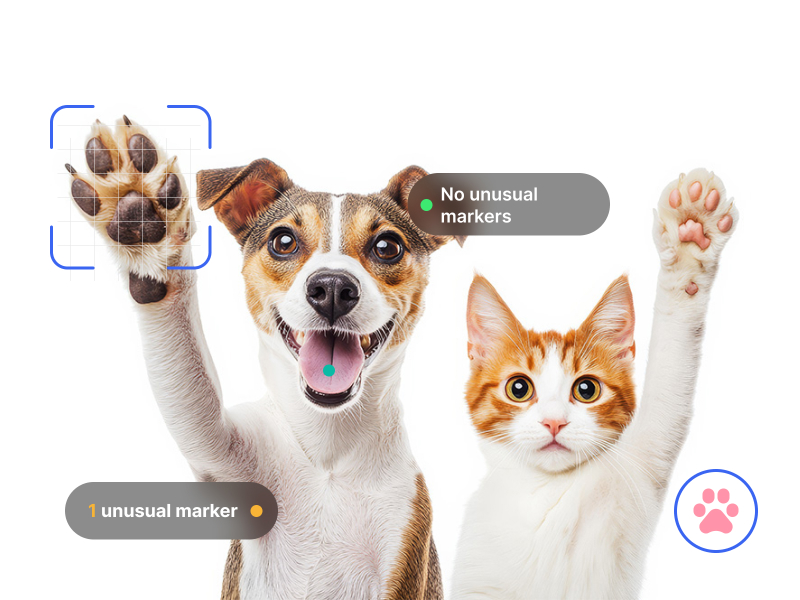 Personnalisé pour les animaux et commodité pour vos clients